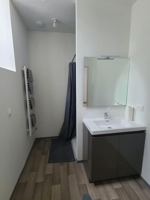 Logement Centre Ville Maurs Esterno foto